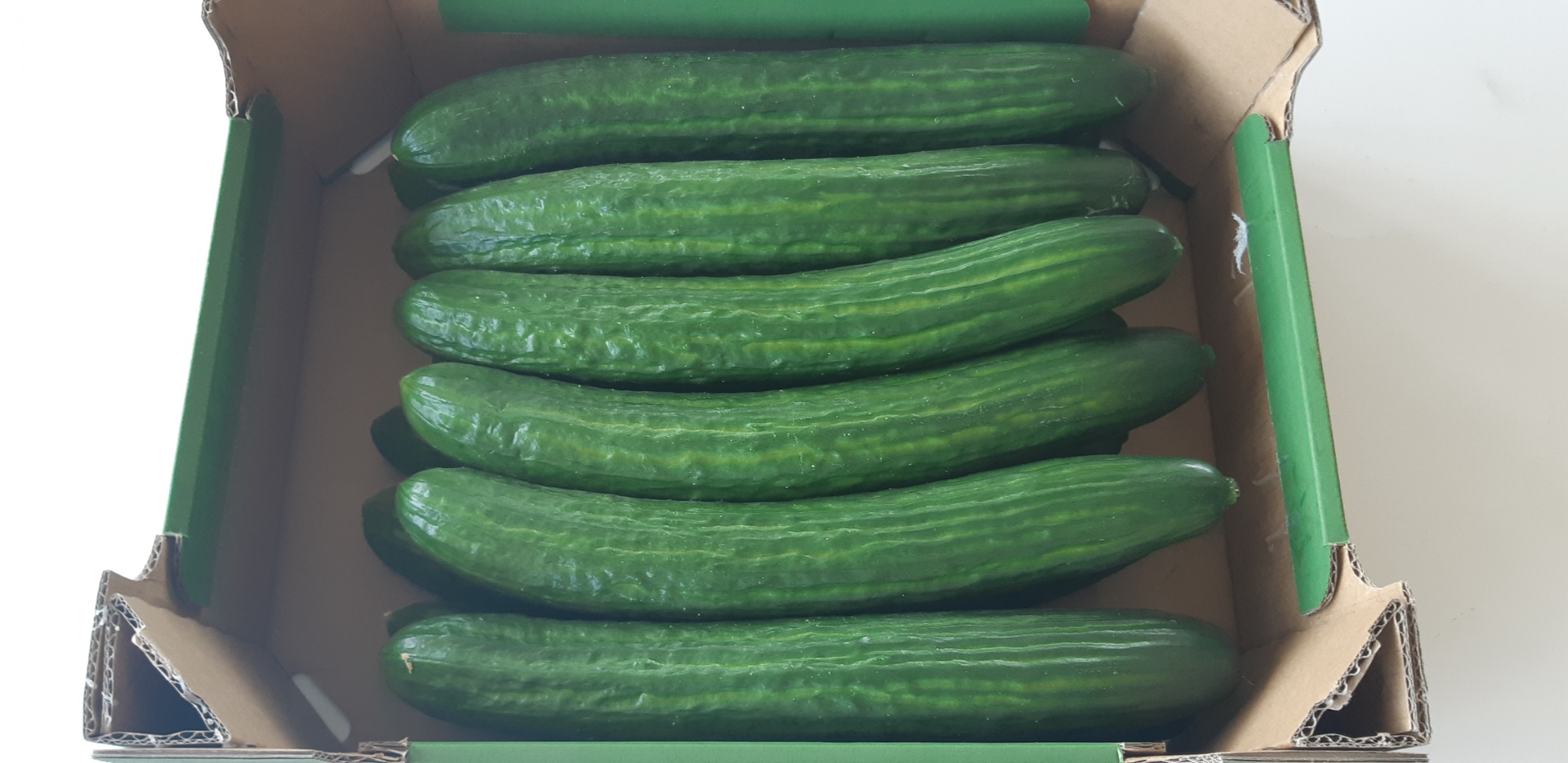 I will sell a long variety of greenhouse cucumber