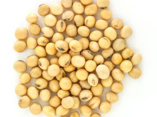 we have fresh products and for more details, please