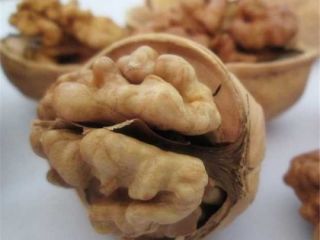 we have fresh process walnuts products both in shells