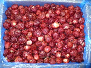 I will sell frozen strawberries. Country of origin -