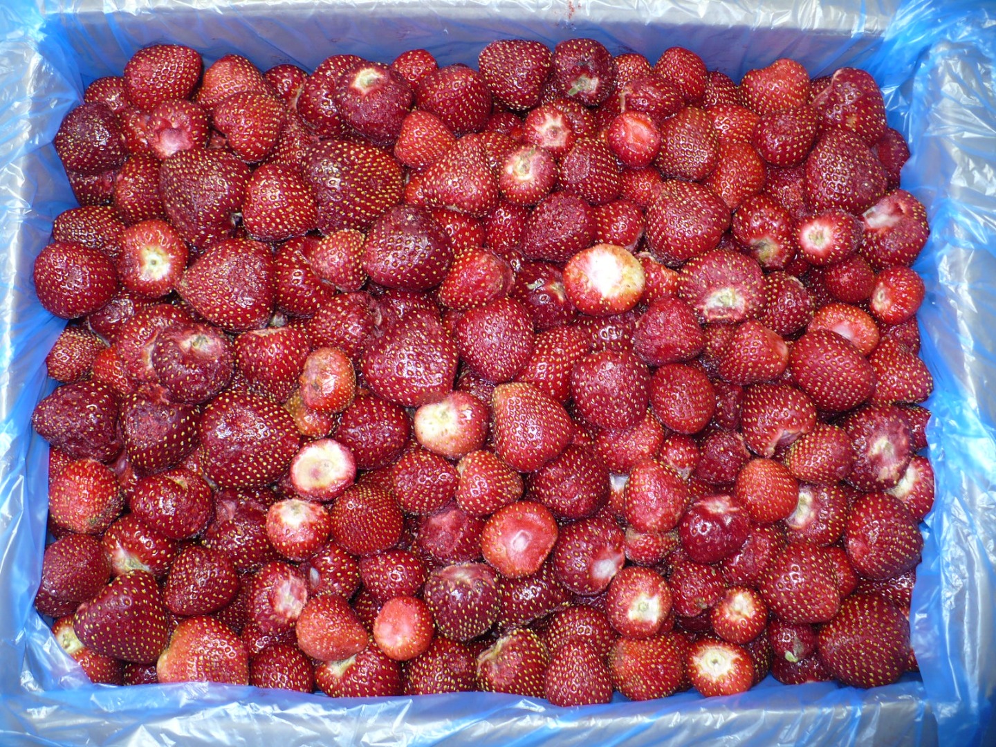I will sell frozen strawberries