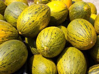 Laverida sells tropical fruits in bulk. The offer includes