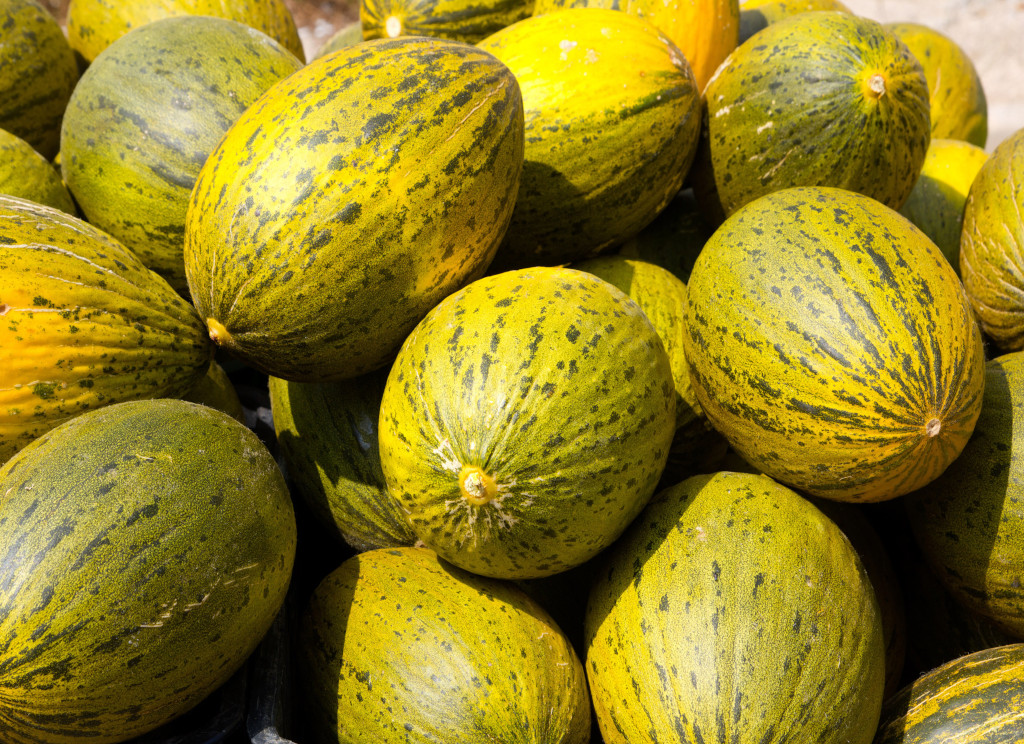Laverida sells tropical fruits in bulk