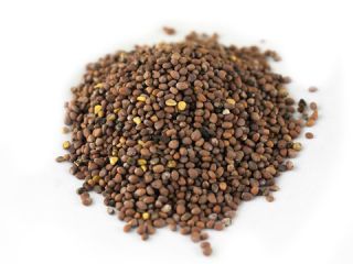 Oilseed radish, 2021 year crop, purity 98% Quantity: 200
