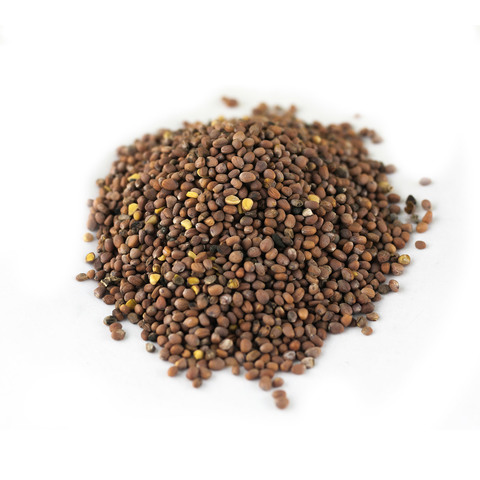 Oilseed radish, 2021 year crop, purity 98% Quantity: 200 tons Producer: Russia, Tatarstan Republic Delivery terms: FCA Naberezhnye Chelny/ Our company