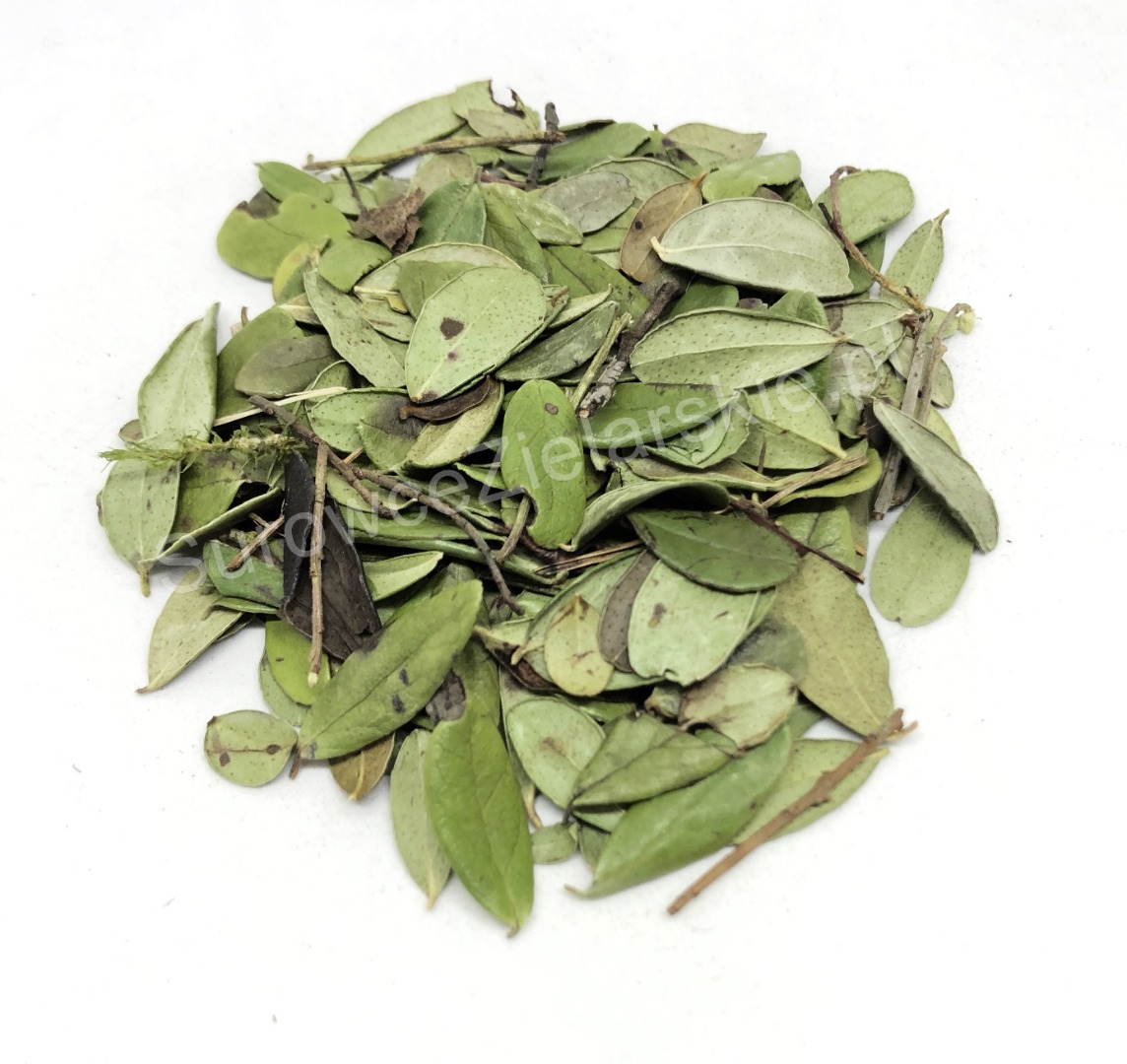 I will sell a cowberry leaf (Vitis idaea folium), large quantities from a warehouse in Lublin