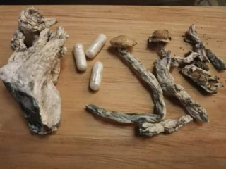 Magic mushrooms for sale inbox for more details