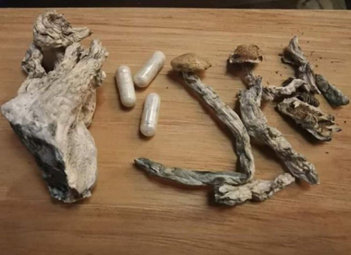 Magic mushrooms for sale inbox for more details