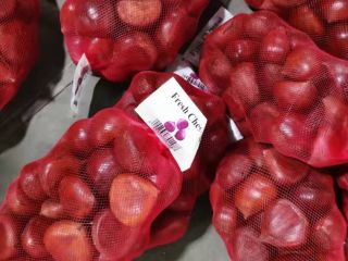 Excellence Price Export Natural Wholesale Cheap Unpeeled Fresh Sweet