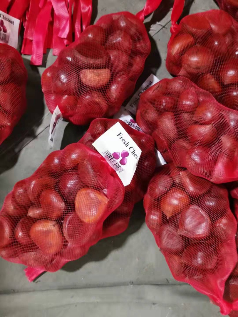 Excellence Price Export Natural Wholesale Cheap Unpeeled Fresh Sweet Chestnut