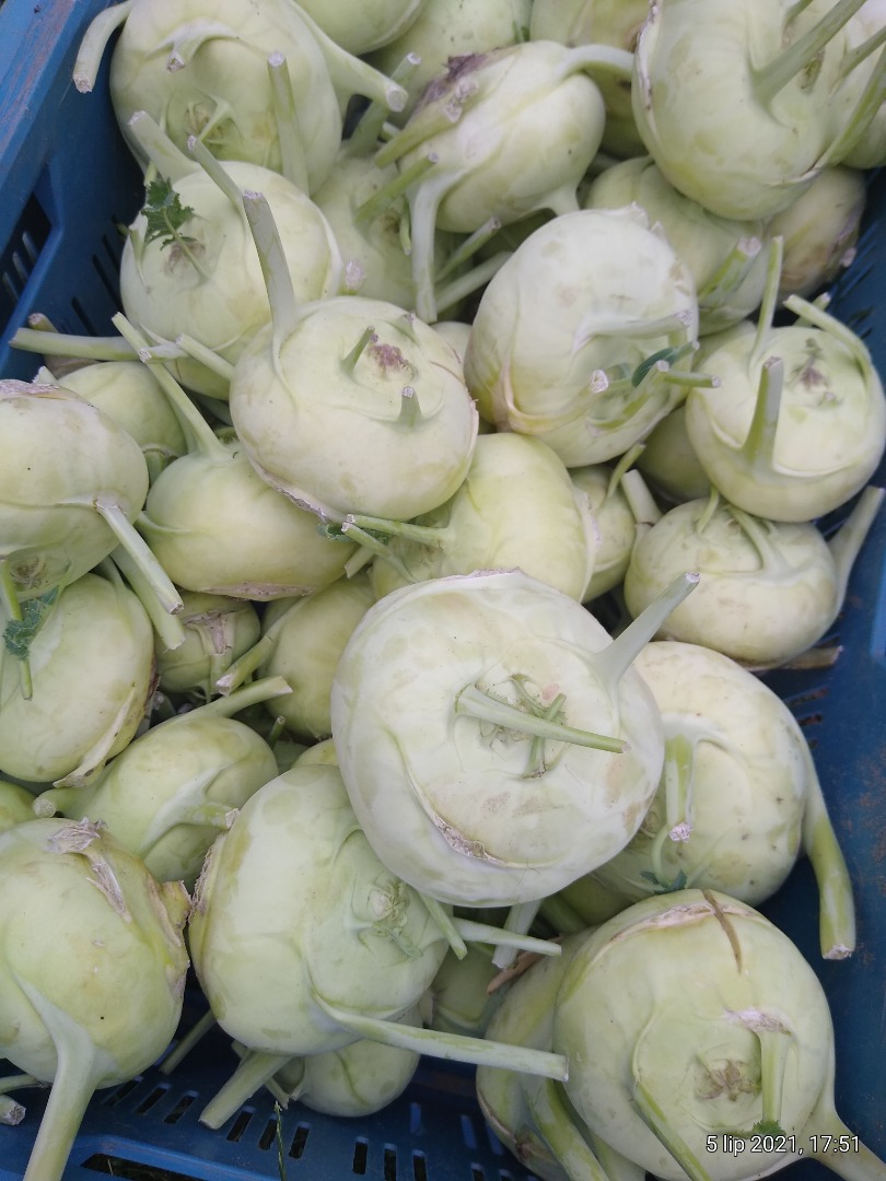 Kohlrabi for sale