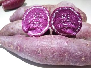 FRESH SWEET POTATO we provide fresh fruits and vegetables,