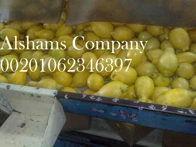 We are ALshams for general import and export