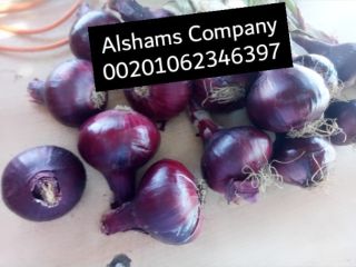 We are ALshams for general import and export .