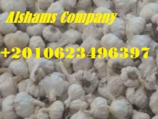We are ALshams for general import and export .