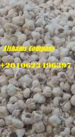 We are ALshams for general import and export