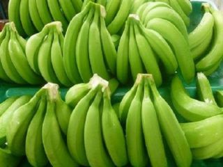 ADVANTAGES 100% NATURAL Products are selected and processed entirely