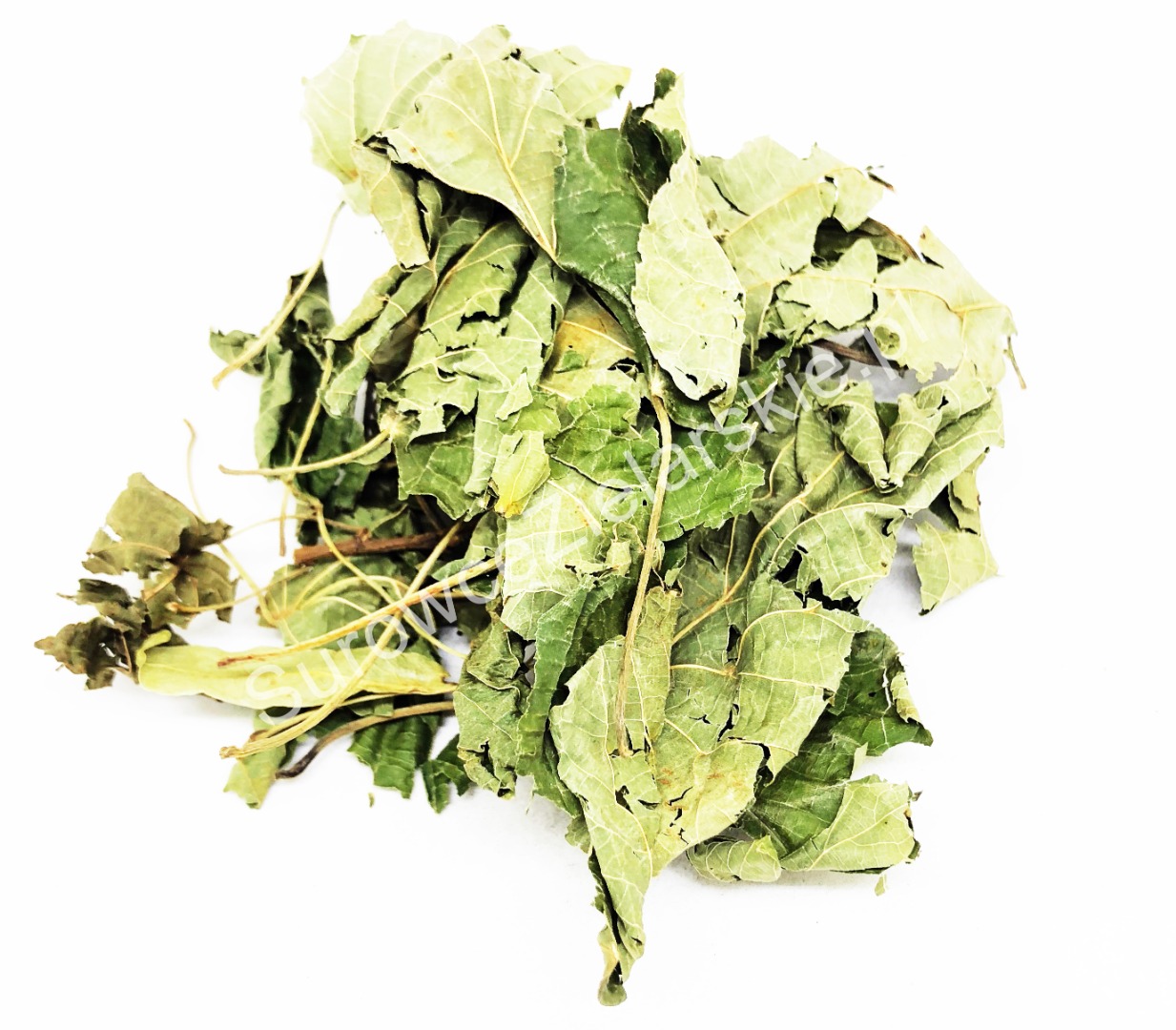 I will sell a large amount of hazelnut leaf (Corylus avellana folium) from a warehouse in Lublin