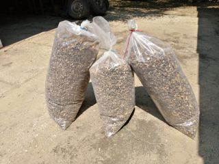 Czech cone dried 65 kg