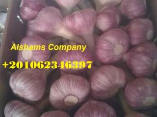 We are ALshams for general import and export .