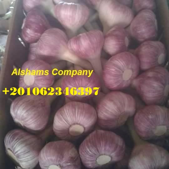 We are ALshams for general import and export