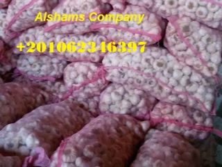 We are ALshams for general import and export .