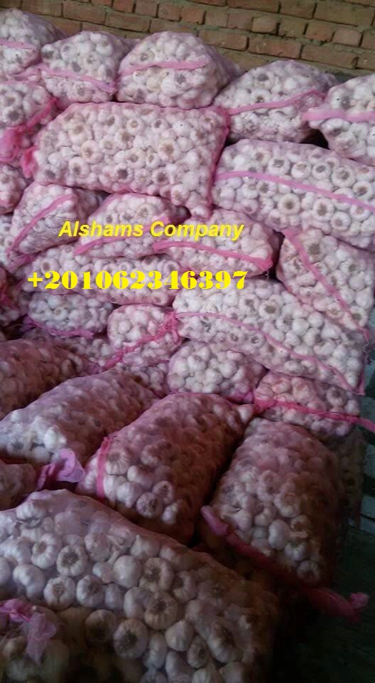 We are ALshams for general import and export