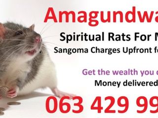 Money spells in south africa | Love spells in