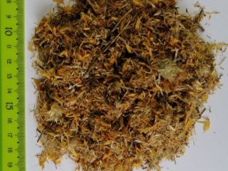 Hello, I am selling a herb or flower Arnica