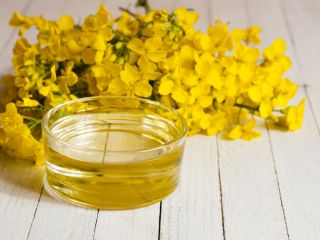 Technical Data Sheet Technical details The product's name Rapeseed