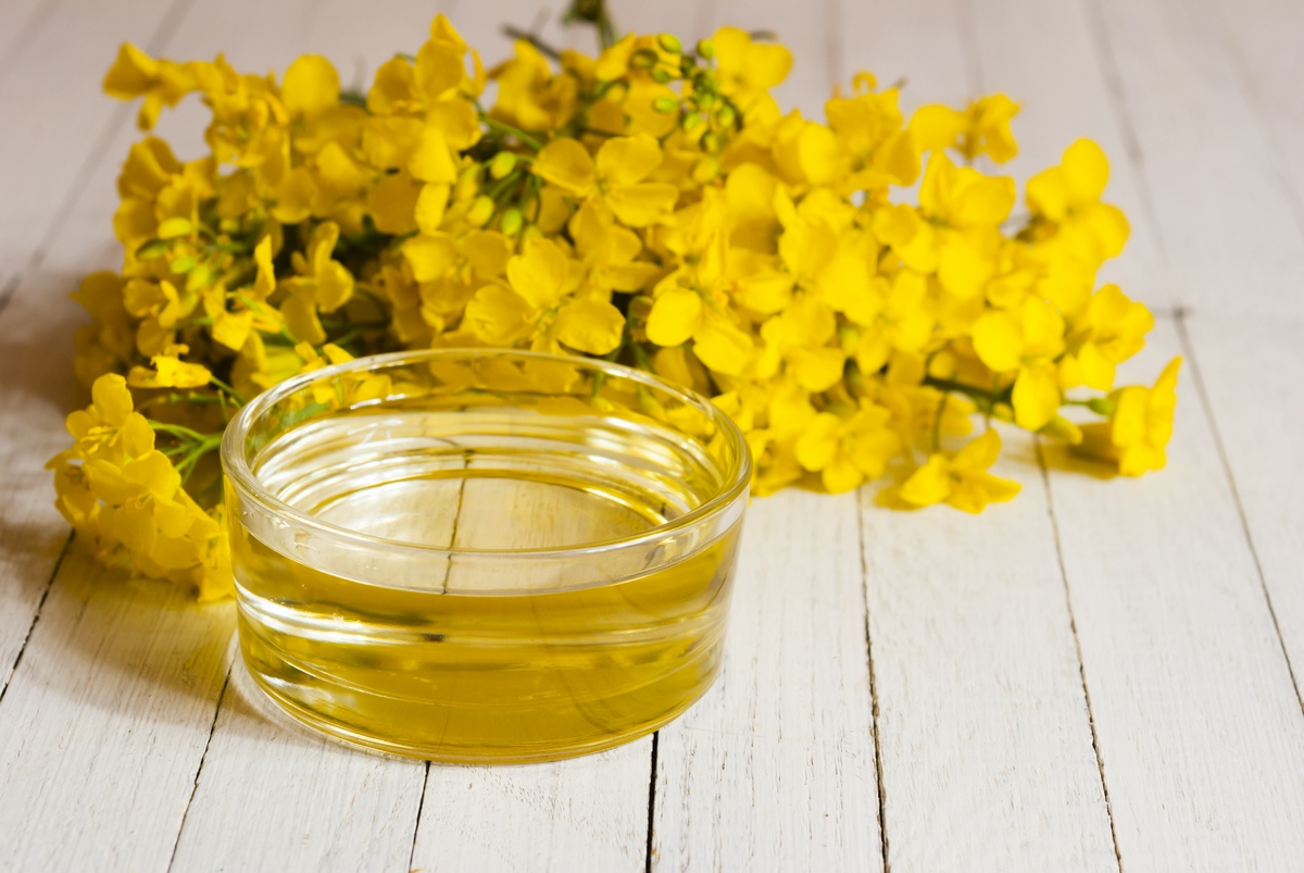 Technical Data Sheet Technical details The product's name Rapeseed Seeds Oil Refined Rapeseed Oil Bulk Vegetable Oil Thing Per 100 g NRV% Energetics 3700KJ 44%