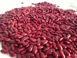 Dried Red Kidney Bean Top Quality Kidney Bean Black