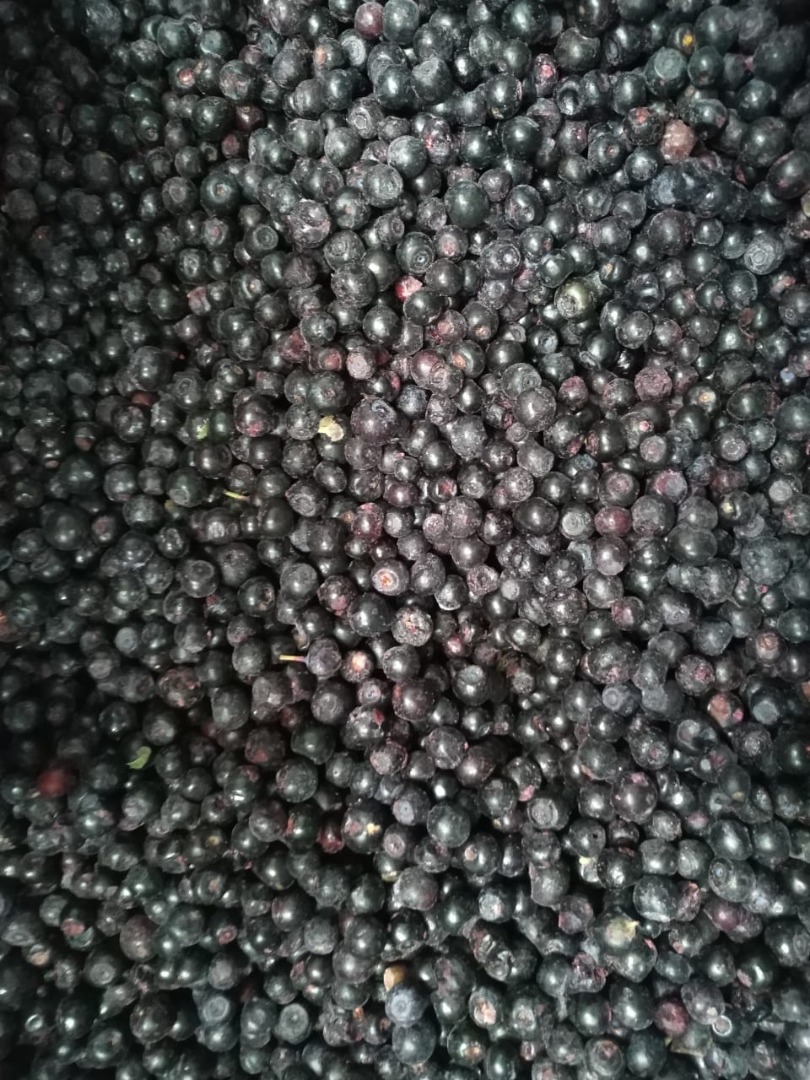 I will sell a truckload of forest berries