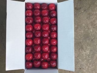 Good day! We sell wholesale high-quality cherries from Uzbekistan.