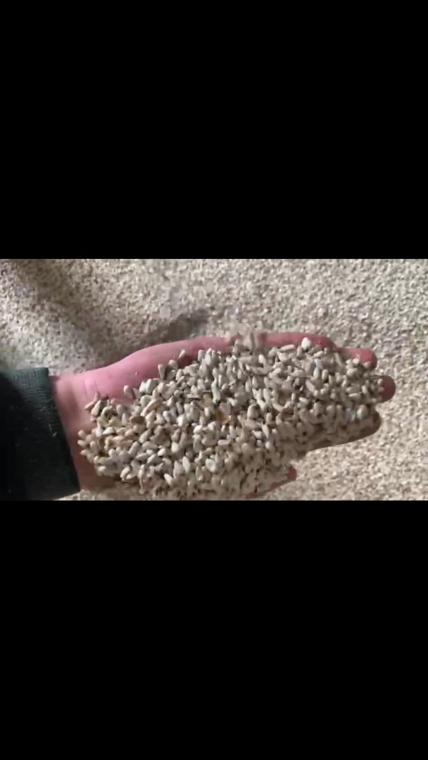 We sell safflower Rostov-on-Don port "KORVET" 600 tons oil content 33-35 litter 3-3.5 Export is possible
