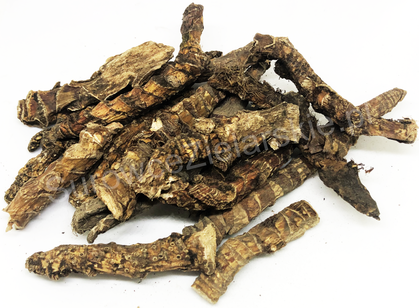 Calami radix for sale, large quantities from a warehouse in Lublin