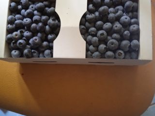 I will sell blueberries, price to be agreed