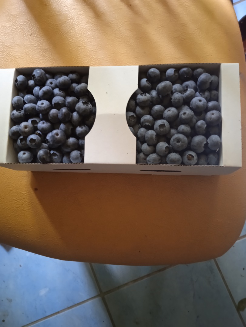I will sell blueberries, price to be agreed