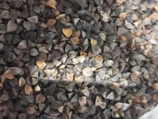 Nasza firma SEEDMARKET LLC z siedzibą w Moskwie w
