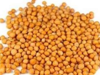 Our company SEEDMARKET LLC, located in Moscow, Russia, is