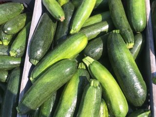 Hello, I am selling courgettes, a variety of bark