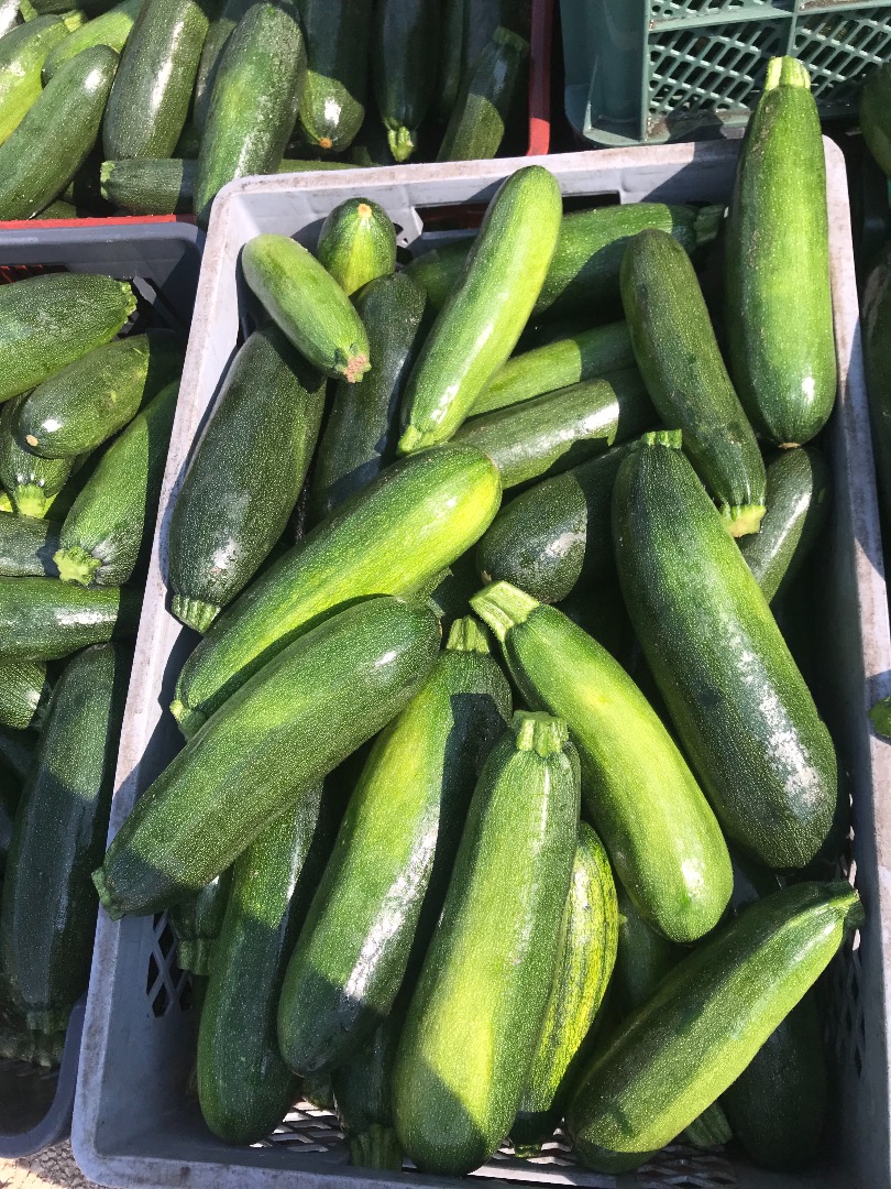 Hello, I am selling courgettes, a variety of bark and acesta, I have about 400 kilos every day