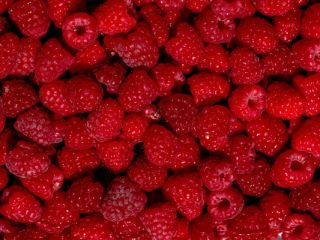 Good day! We wholesale high-quality cherries, apricots, nectarines, blueberries,