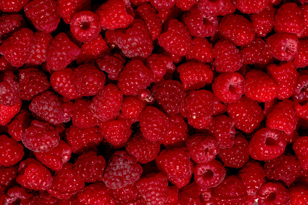 Good day! We wholesale high-quality cherries, apricots, nectarines, blueberries, currants, grapes, peaches, raspberries and strawberries from Uzbekistan