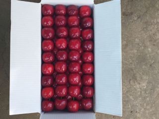 Good day! We sell wholesale high-quality cherries, nectarines, blueberries,
