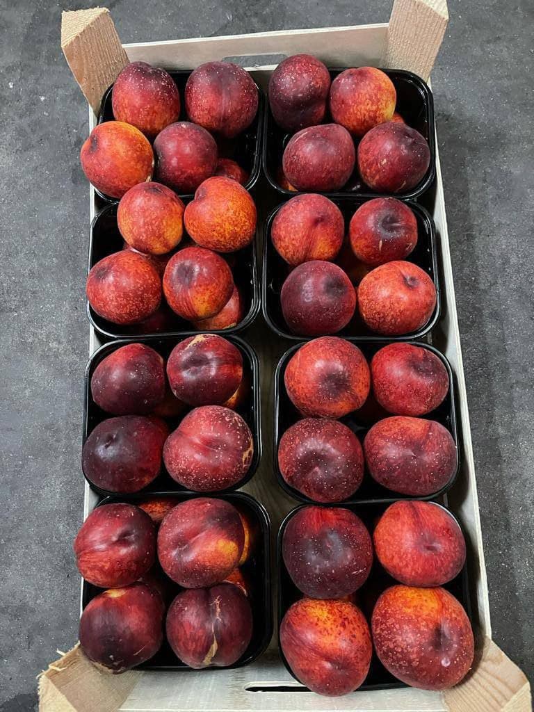 Good day! We are selling quality nectarine wholesale from Uzbekistan