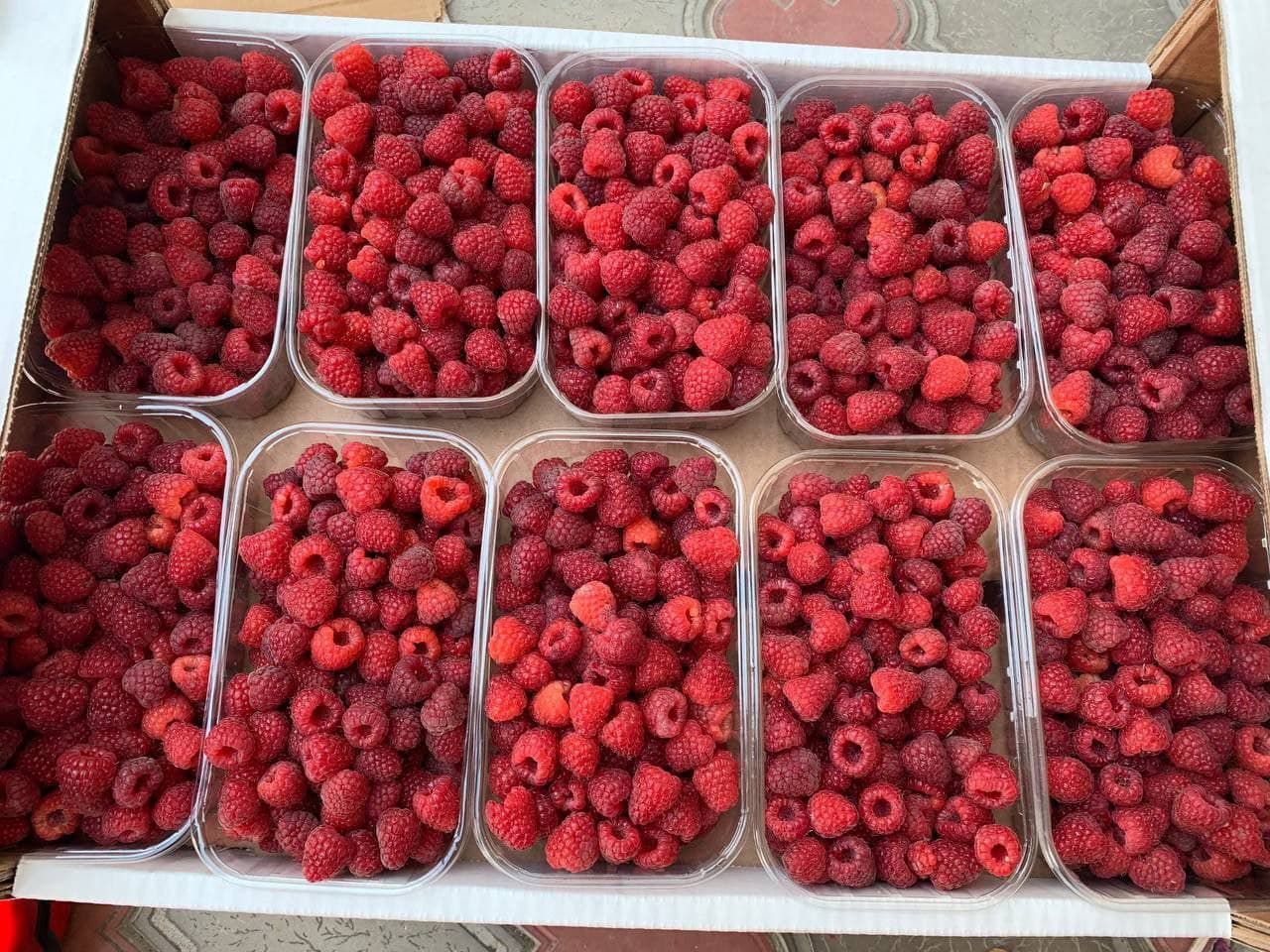 Good day! We are selling quality raspberries wholesale from Uzbekistan