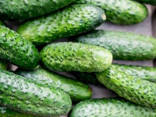 I will sell organic ground cucumbers. Perfect for pickling.