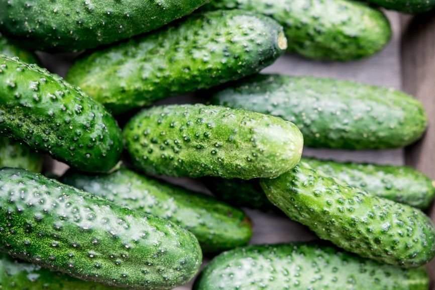 Hello, I am selling organic ground cucumbers