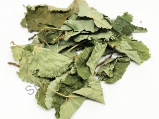 Lipa leaf for sale (Tilia cordata folium), large quantities